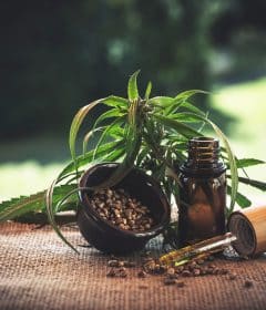 cbd, cannabidio, cbd oil