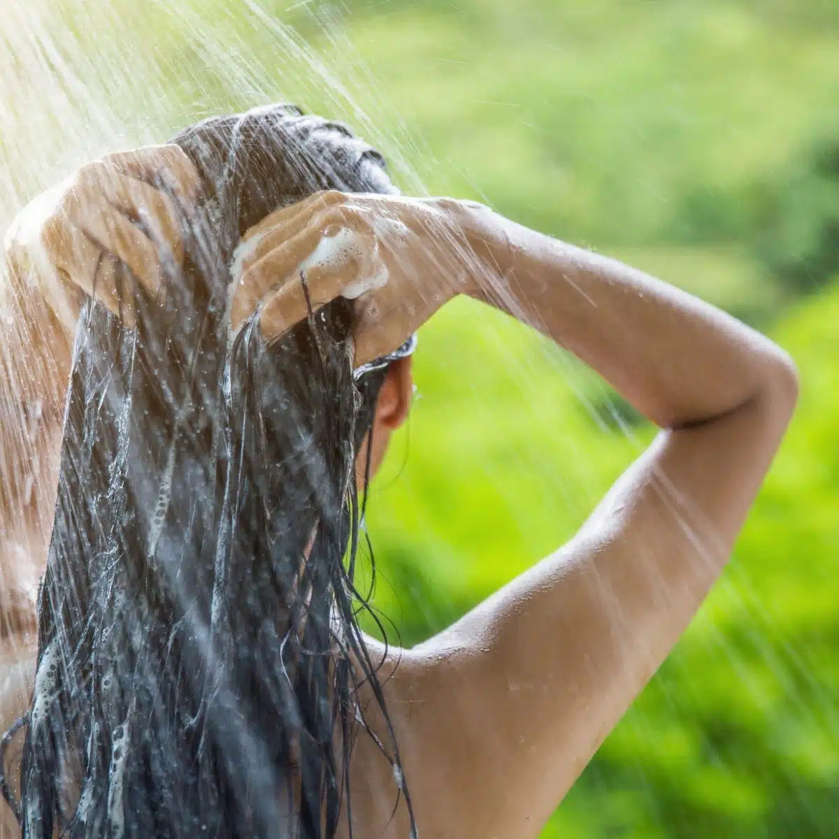 Aloe vera cheveux les bons gestes à adopter 1