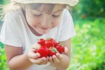 Comment la tomate aide à réduire les risques de goutte ?