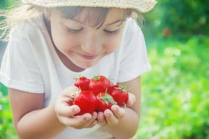 Comment la tomate aide à réduire les risques de goutte ?