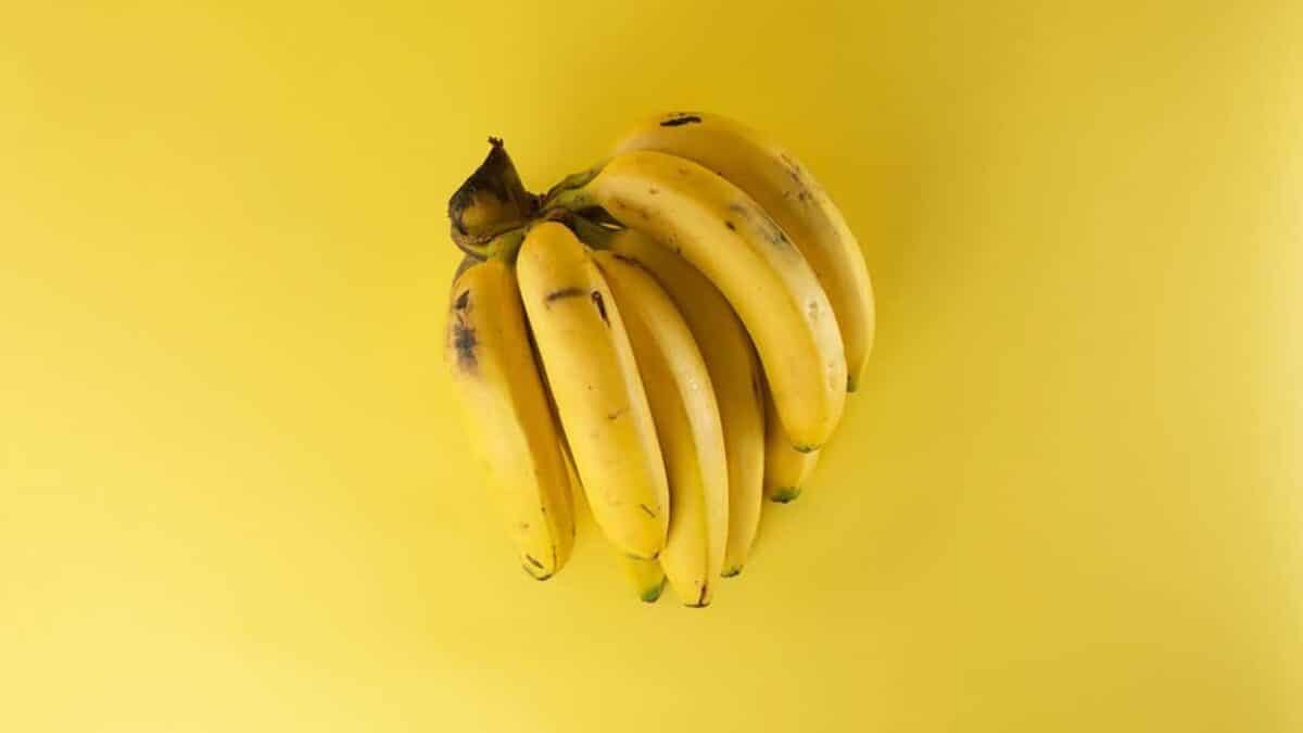 Comment les bananes aident à réduire les niveaux d'acide urique