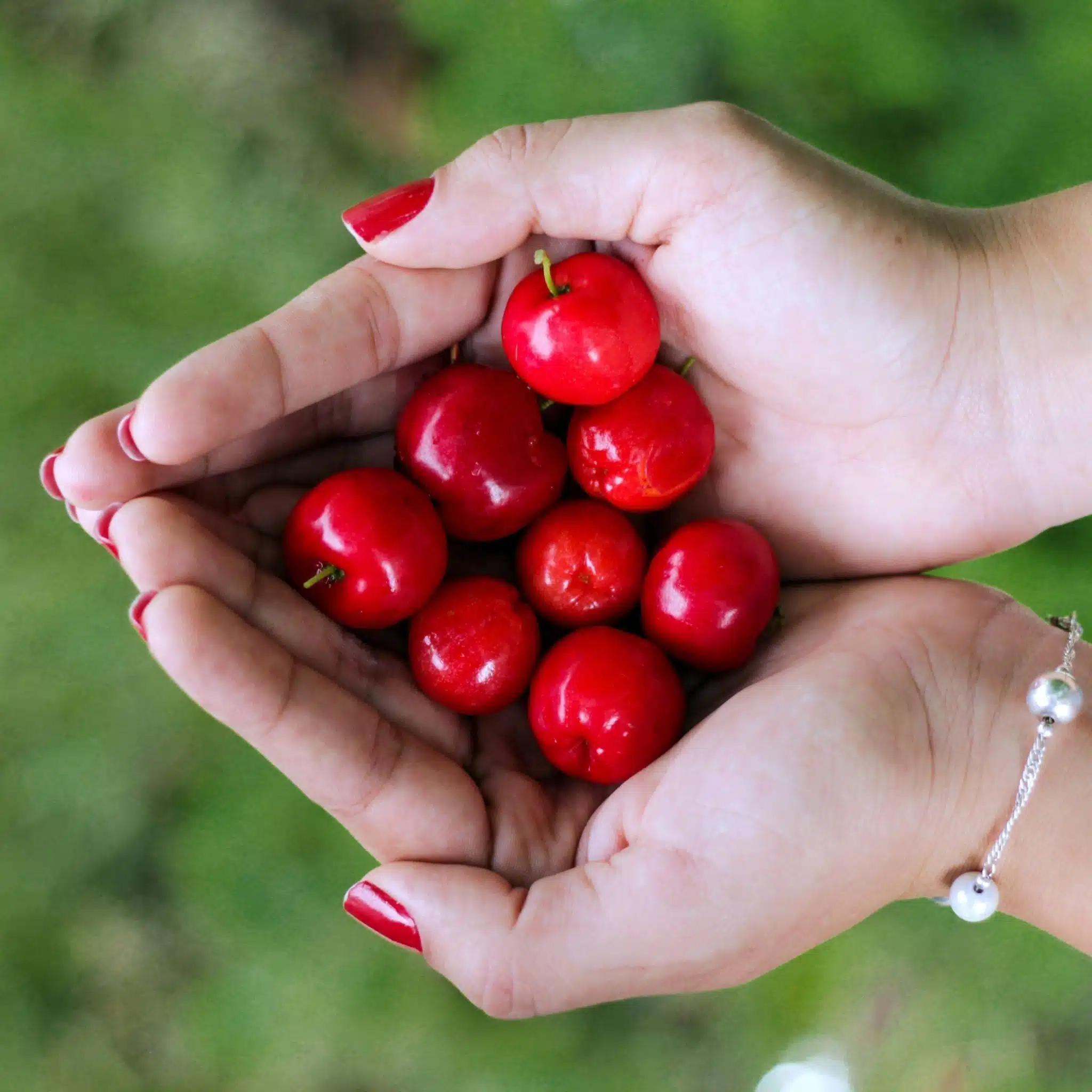 Incorporer la tomate dans votre régime pour réduire l'acide urique