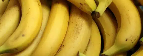 Prévention de la goutte : les bienfaits des bananes sur l'acide urique