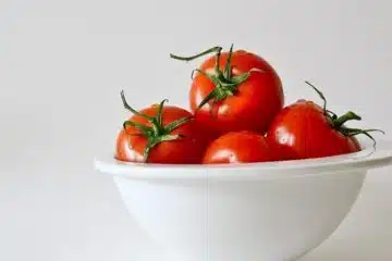 Tomates et gestion de l'acide urique : faits et conseils nutritionnels