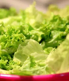 Comment faire la salade pour perdre du poids ?