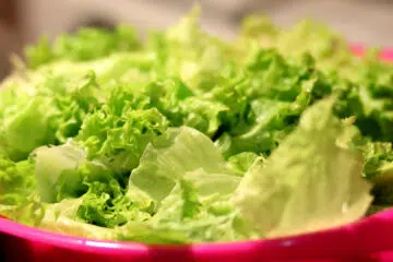 Comment faire la salade pour perdre du poids ?