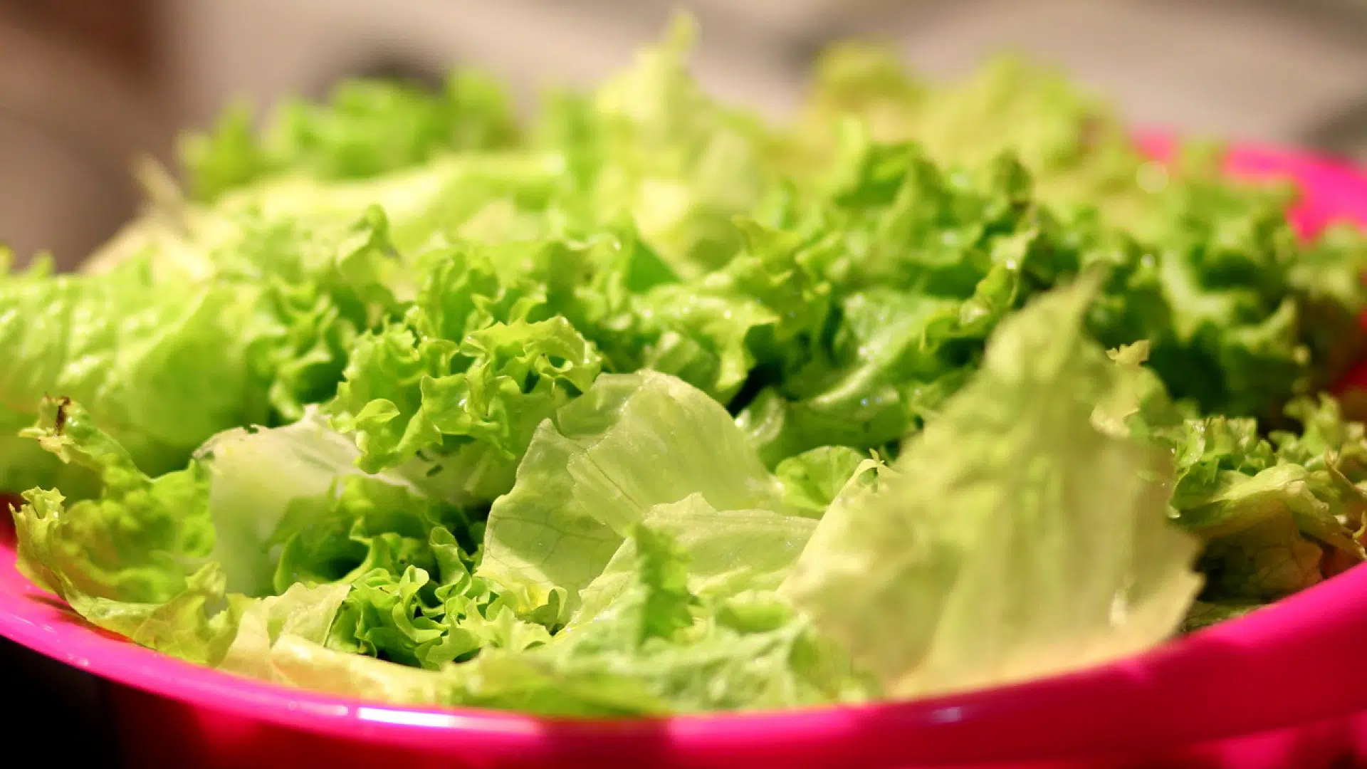 Comment faire la salade pour perdre du poids ?